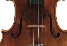 Study: Pinpointing Where Stradivari’s Wood Came From