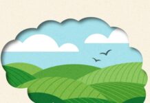 How We Can Shape Our Dreams