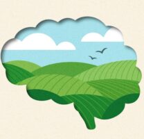 How We Can Shape Our Dreams