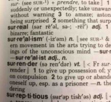 Why Dictionaries Still Matter