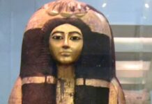 UK Museums Hold Hundreds Of Thousands Of Human Remains