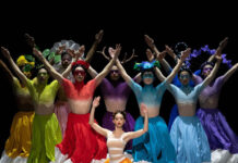 Director of Philanthropy – Ballet Arizona working with Management Consultants for the Arts