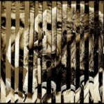 He Was a No-Show at the Academy Awards But …