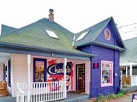 LGBTQ Bookstores Had Been Slowly Disappearing For Years, Now There’s A New Generation Of Them.