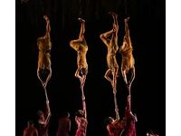 Well, At Least The Australian Ballet Lost Fewer Millions Than It Did The Year Before