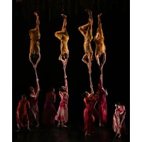 Well, At Least The Australian Ballet Lost Fewer Millions Than It Did The Year Before