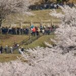 Japan Struggles With What Some There Call “Tourism Pollution”