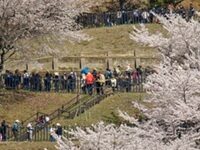 Japan Struggles With What Some There Call “Tourism Pollution”