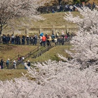 Japan Struggles With What Some There Call “Tourism Pollution”