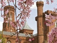 Smithsonian Board Seats Left Vacant Amid Pressure From Trump’s White House