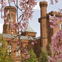 Smithsonian Board Seats Left Vacant Amid Pressure From Trump’s White House