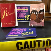Book Bans And Attempts In U.S. Are At Record High, Says American Library Association