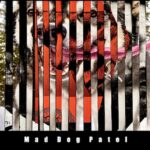 Mad Dog at the FBI Is Sued in the Noonday Sun