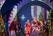 Director of Production-Seattle Children’s Theatre working with Management Consultants for the Arts