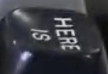 The Board That Built Apple – And A Personal Computing Revolution – Is Turning Fifty