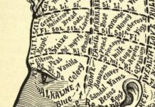 Poets Are All About Words. What Happens When Those Words Start Slipping Away?