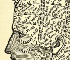 Poets Are All About Words. What Happens When Those Words Start Slipping Away?