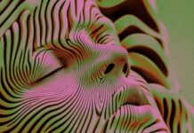 How AI Will Accelerate Human Creativity