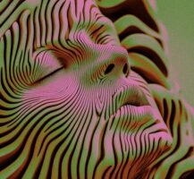 How AI Will Accelerate Human Creativity
