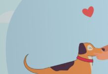 Rethinking How Our Brains Process The World Using Categories