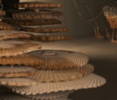 The Ideas Challenging This Year’s Turner Prize Finalists