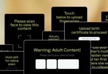 What Age-Verification Laws Are Really About: Centralized Control And Censorship