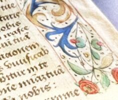 Book Science And The Art Of Preserving Old Books