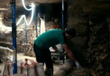 Inside The Project To Remake Paris’ Catacombs