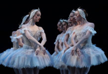 Executive Director- Texas Ballet Theater working with Management Consultants for the Arts