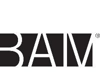 Vice President of Marketing and Communications- Brooklyn Academy of Music via TOC Arts Partners