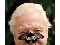 David Attenborough, Everyone’s Favorite Nature TV Host, Is Now 100