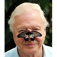 David Attenborough, Everyone’s Favorite Nature TV Host, Is Now 100