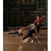 He Couldn’t Choose Between Dance And Visual Art. He’s Ended Up Putting Dancers In His Art Installations.