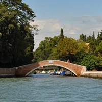 Iran: We Never Dropped Out Of The Venice Biennale, And We’re Still Coming