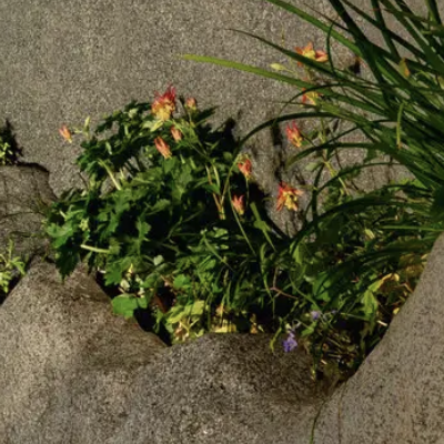Maya Lin’s New Work Is Focused On Connecting The City With Its Own Cracks