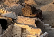 The Egyptian Mummy Buried With The Iliad