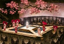 The Reinvention Of Washington National Opera