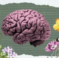 How Does Your Brain Process Beauty?