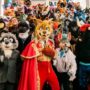 Seattle Opera Hosts First “Furry” Night