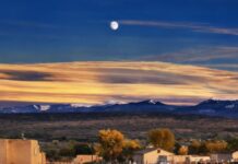 Ansel Adams Trust Slams Gallery Over AI Image
