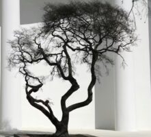 What Iran’s Absence From The Venice Biennale Means