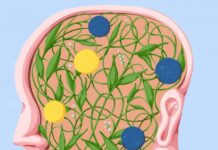 Claim: Figuring Out Consciousness Isn’t Difficult