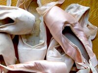 Trying To Improve The Pointe Shoe, Whose Customers Are Resistant To Change