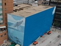 Painter Of Dallas Whale Mural Painted Over For World Cup Promo Sues FIFA
