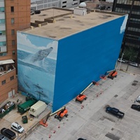 Painter Of Dallas Whale Mural Painted Over For World Cup Promo Sues FIFA