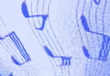 All Of The Music That’s Been Fed Into ‘Generative’ (Read: Theft-Based) AI