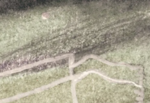 What Should Ghosts Look Like In Children’s Books?