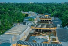 How Alice Walton Culturally Transformed A Corner Of Arkansas