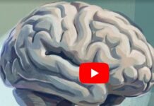 Study: There Are Cognitive Benefits To Reading Paper Books