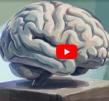 Study: There Are Cognitive Benefits To Reading Paper Books